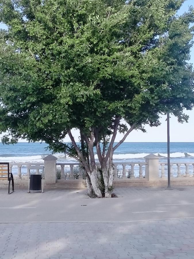 Seaside Apartment أكتاو المظهر الخارجي الصورة